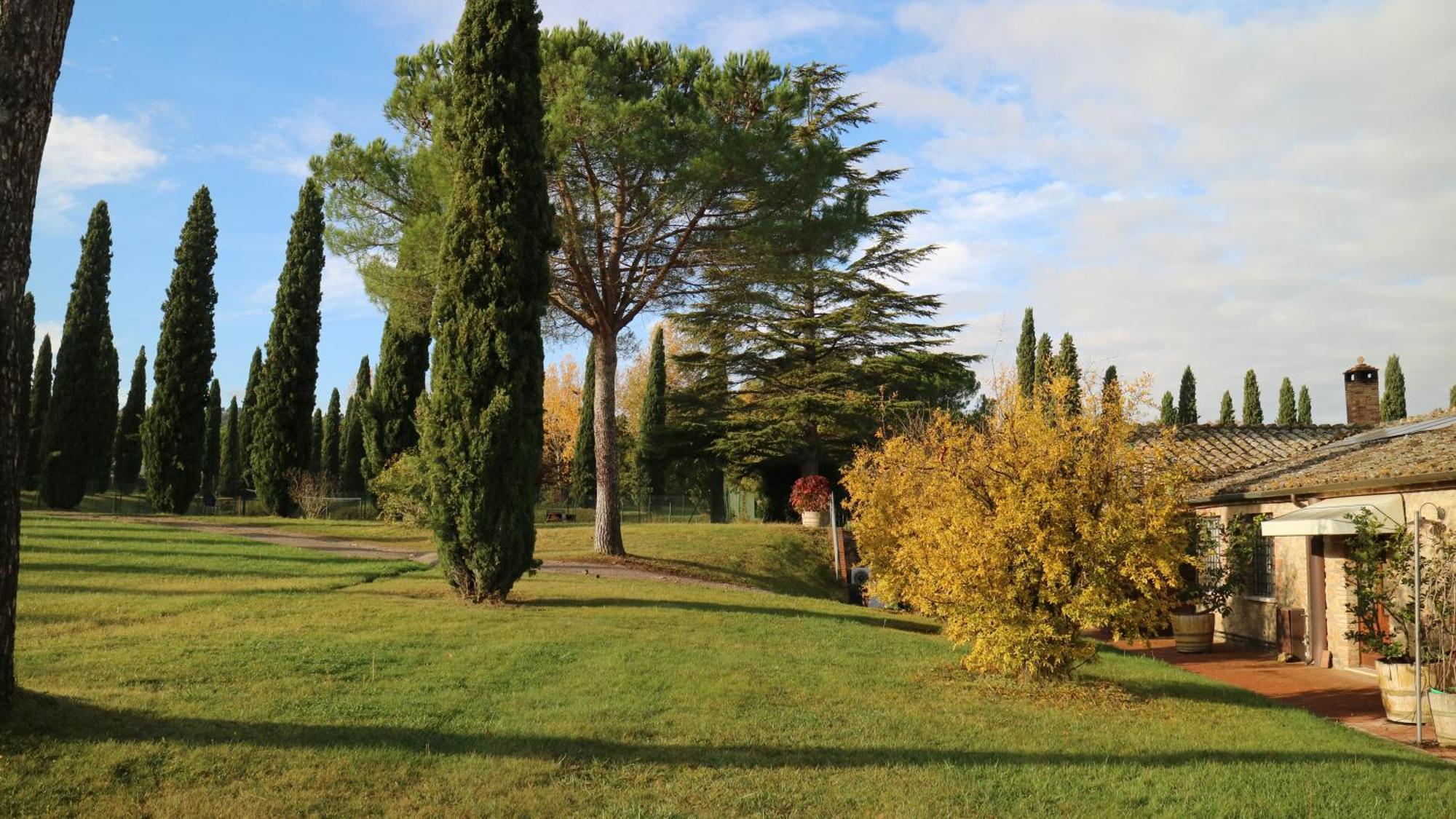 Agriturismo La Sovana Sarteano Kültér fotó