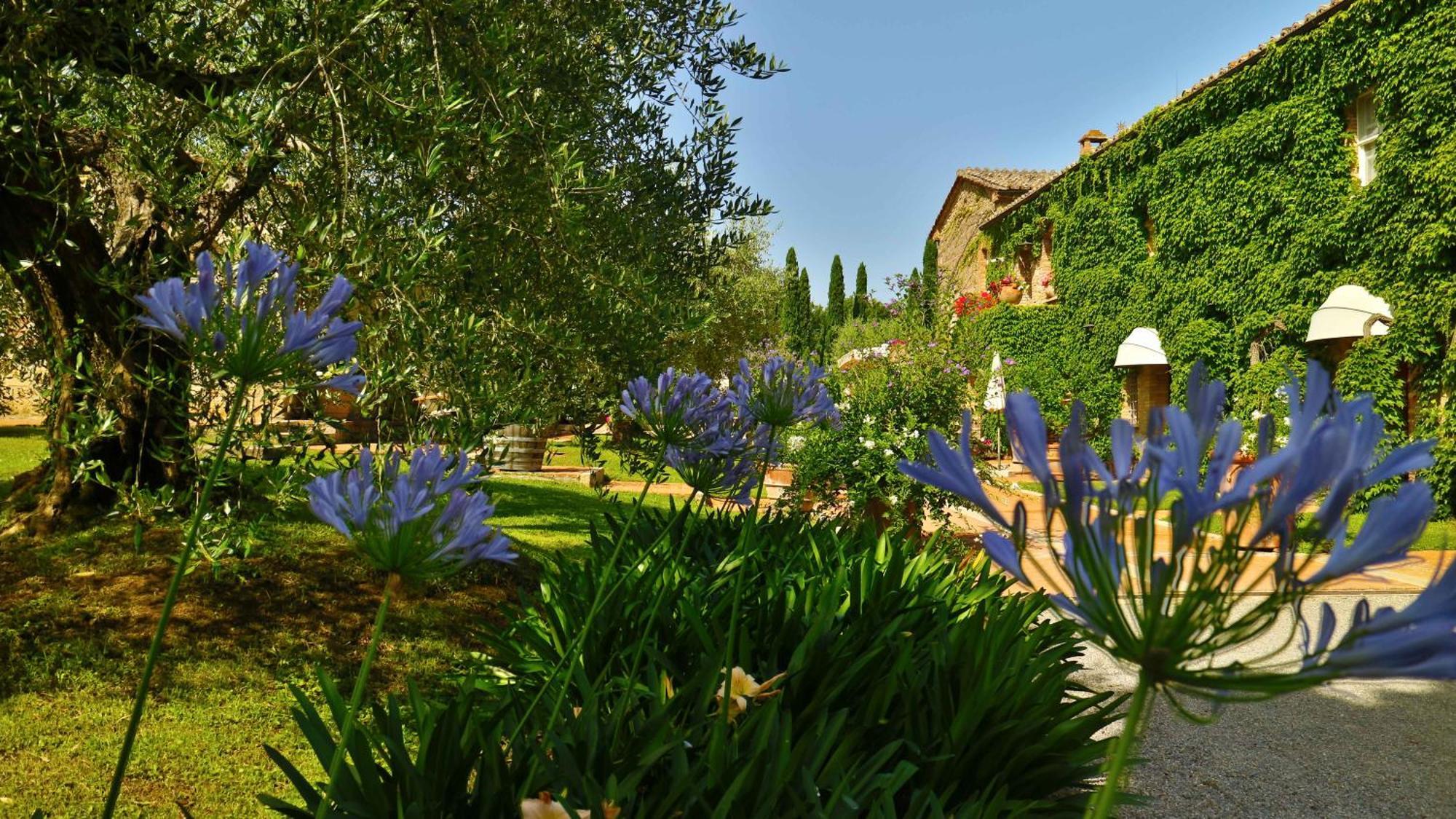Agriturismo La Sovana Sarteano Kültér fotó