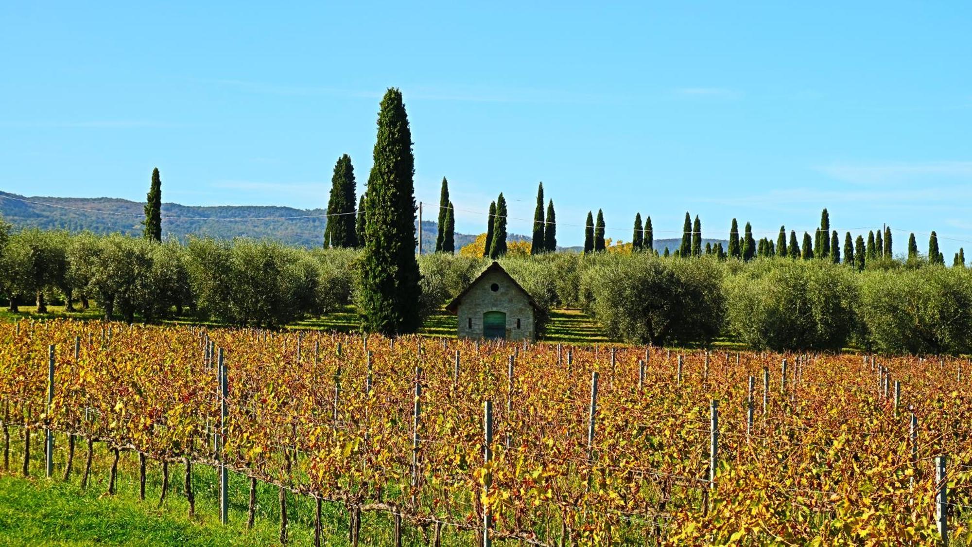 Agriturismo La Sovana Sarteano Kültér fotó
