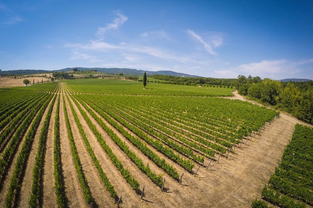 Agriturismo La Sovana Sarteano Kültér fotó