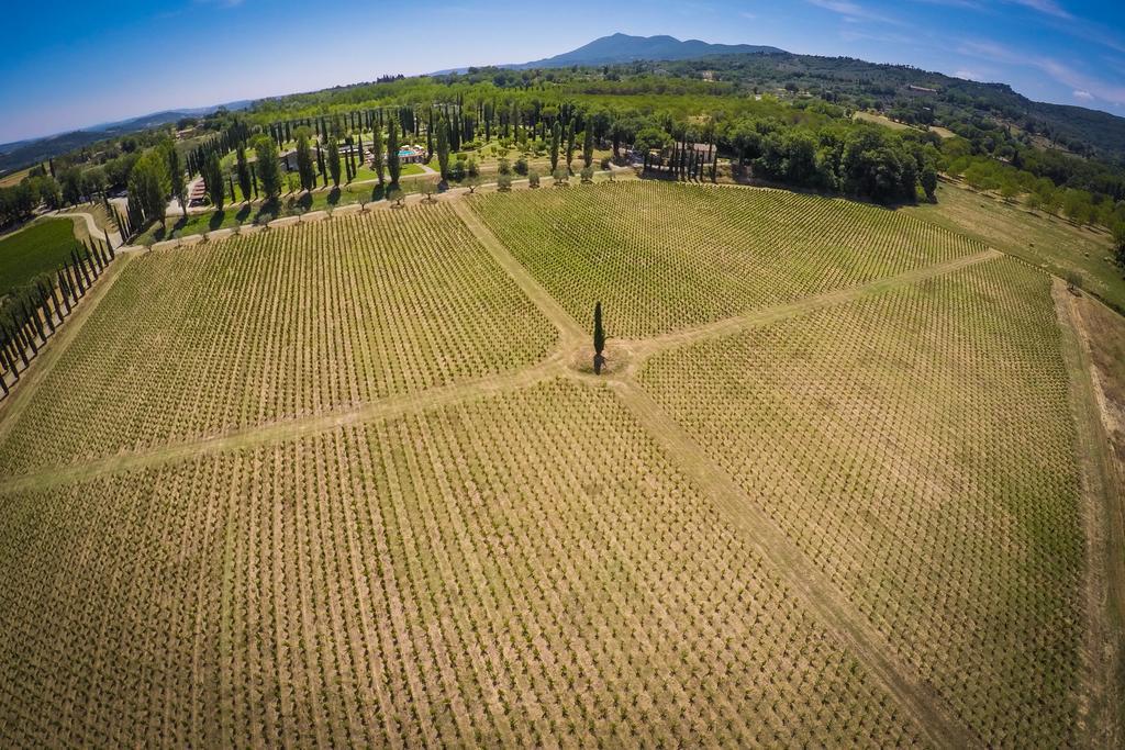 Agriturismo La Sovana Sarteano Kültér fotó